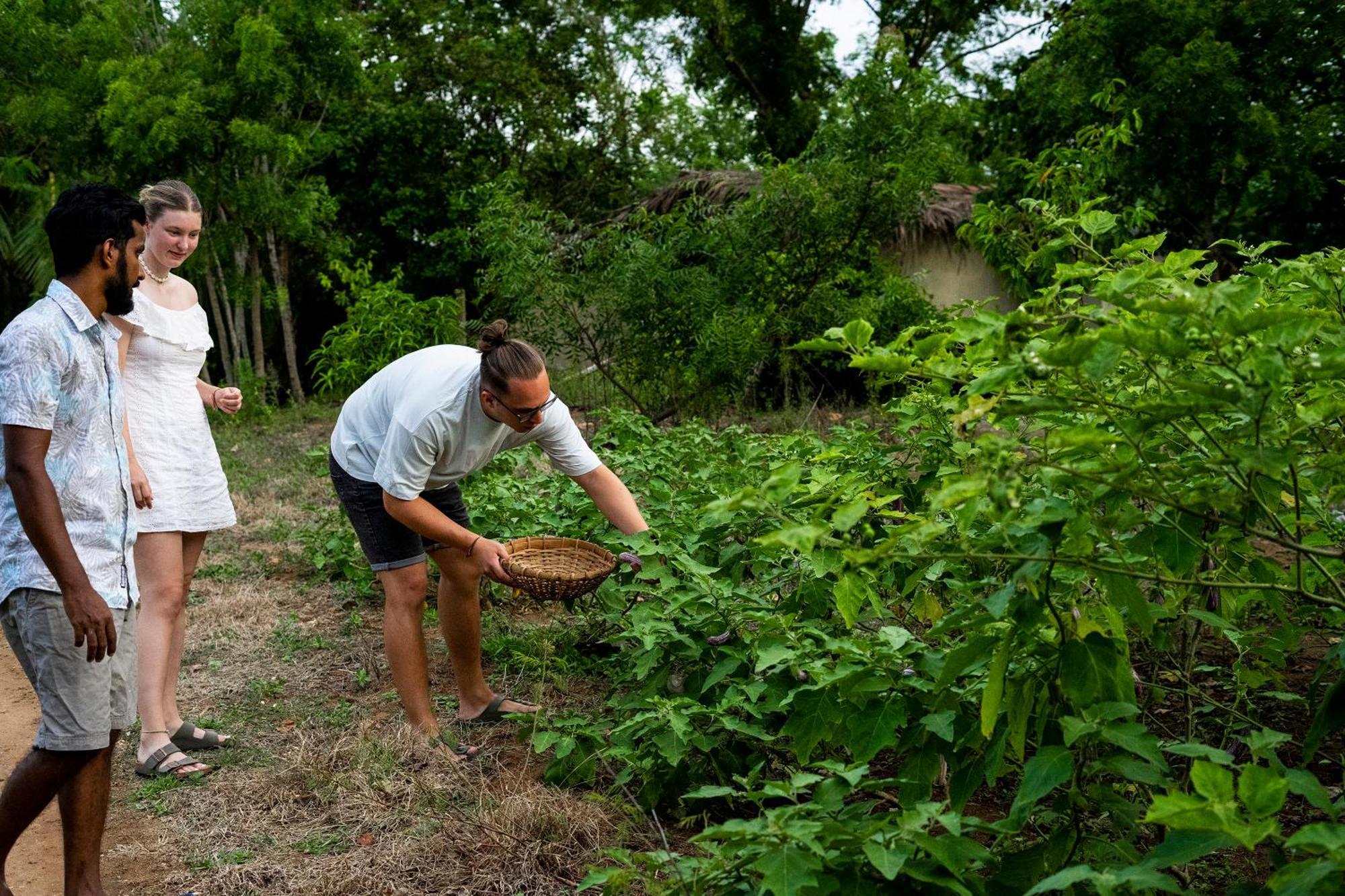 River Paradise Safari House With Cooking Class Udawalawe Luaran gambar
