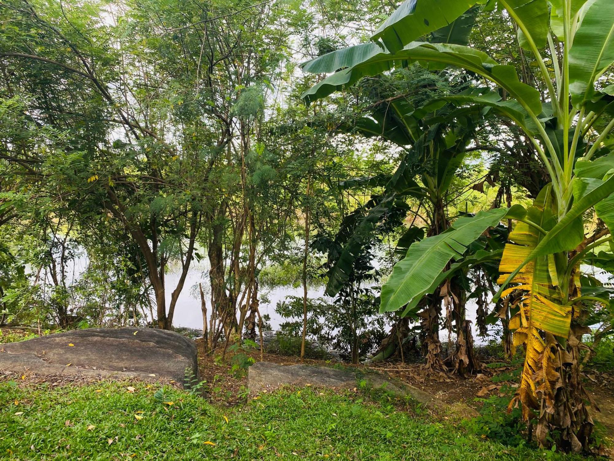 River Paradise Safari House With Cooking Class Udawalawe Luaran gambar