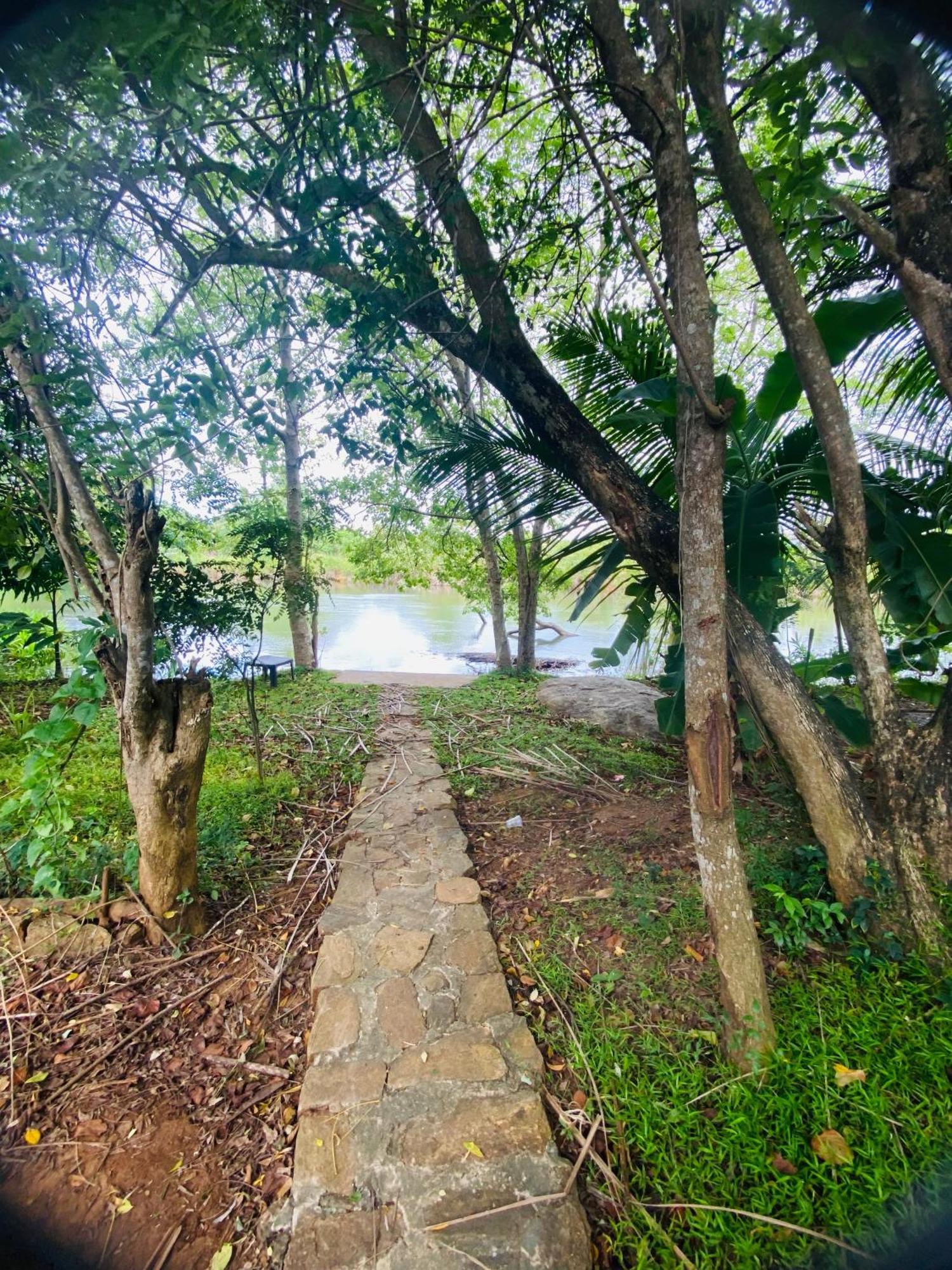 River Paradise Safari House With Cooking Class Udawalawe Luaran gambar